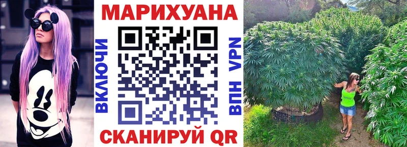A-PVP Рудня