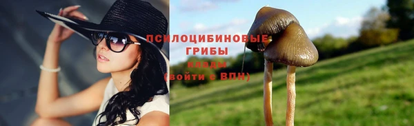 apvp Балахна