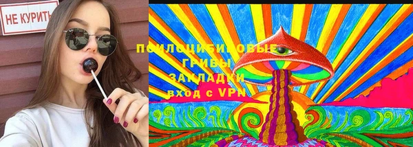 apvp Балахна