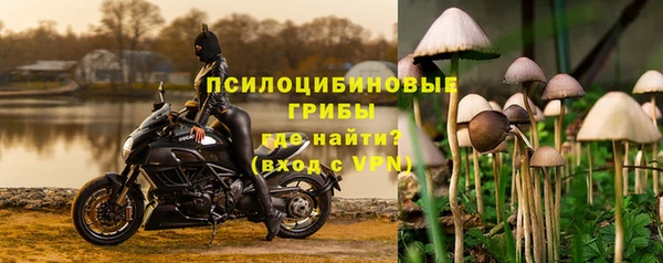 apvp Балахна