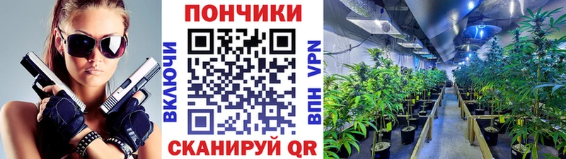 KRAKEN   где можно купить   Рудня  Конопля White Widow 